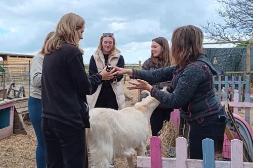 A group of degree students handling a chicken
